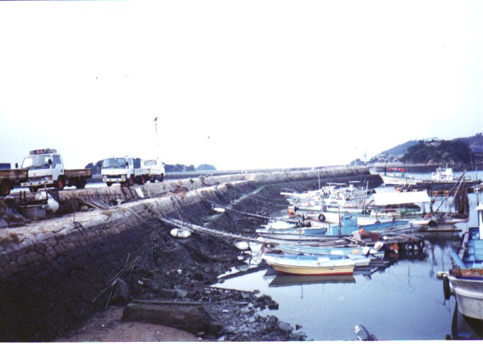 �ۂ̉Y�̎ʐ^�i�U�j